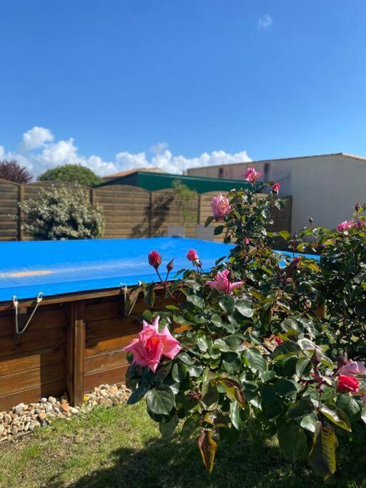 Jolie Petite Maison Renovee Piscine